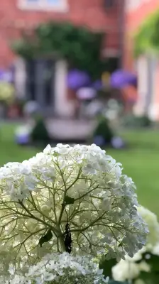 Click Here To View Larger Image