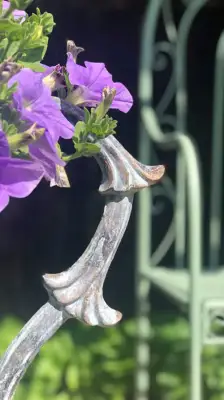 Click Here To View Larger Image