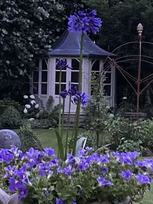 Click Here To View Larger Image