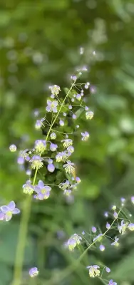 Click Here To View Larger Image