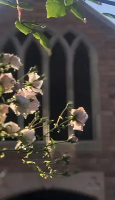 Click Here To View Larger Image