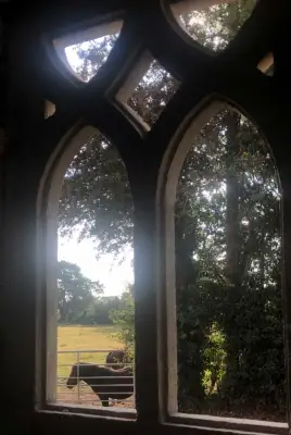 Click Here To View Larger Image