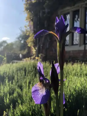 Click Here To View Larger Image