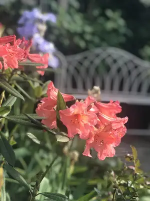 Click Here To View Larger Image