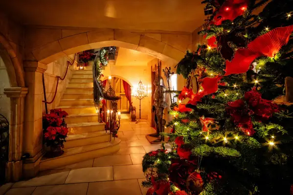 Click Here To View Larger Image