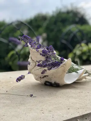 Click Here To View Larger Image