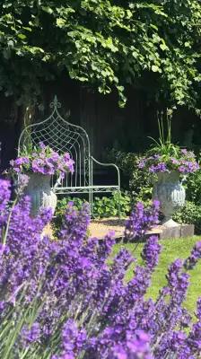 Click Here To View Larger Image