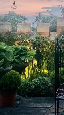 Click Here To View Larger Image