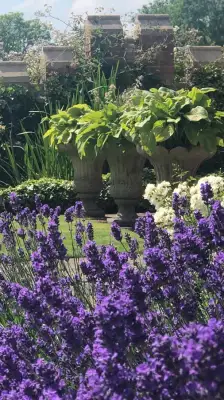 Click Here To View Larger Image