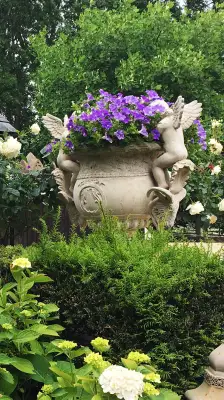 Click Here To View Larger Image