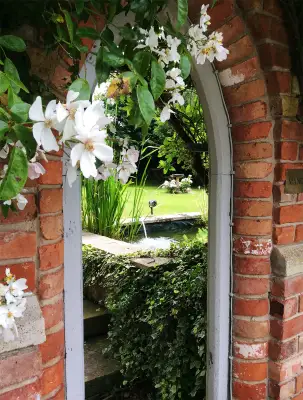 Click Here To View Larger Image